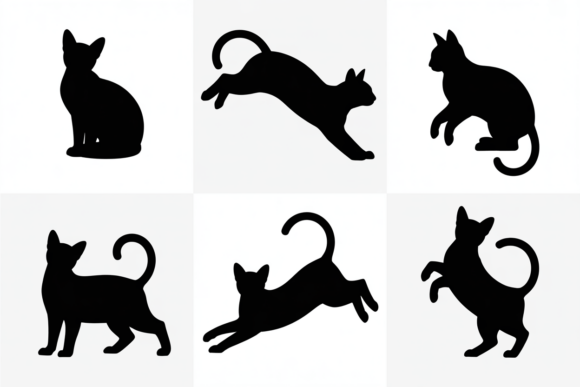 Black Cat in Different Poses: A Designer's Real-World Review