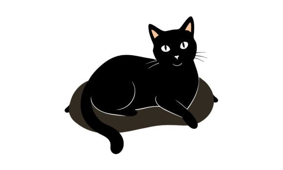 Black Cat Relaxing on Cat Bed