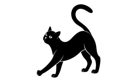 Black Cat Silhouette Reaching Upward Review