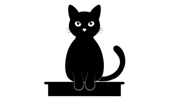 Black Cat Sitting on a Shelf: A Designer's Review