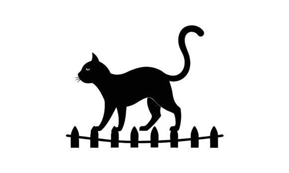 Black Cat Walking on a Fence Review