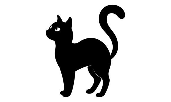 Silhouette Black Cat Looking Upwards Review