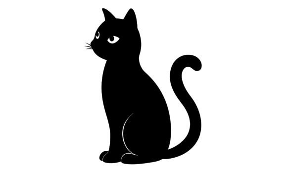Silhouette Black Cat Sitting and Looking Review
